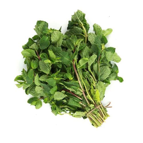 Mint Leaf (புதினா)