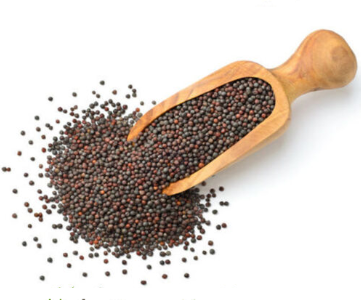 Mustard (கடுகு)