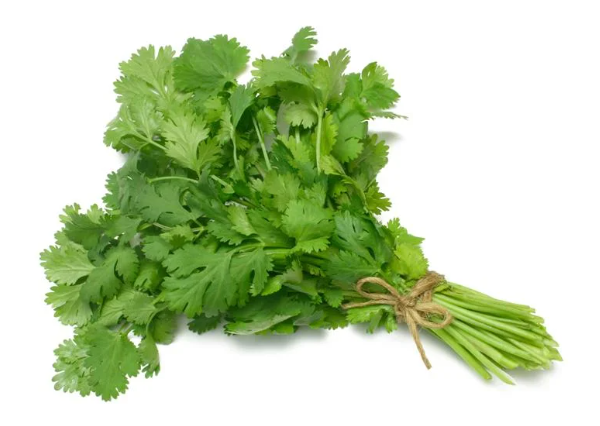 Coriander Leaf (கொத்தமல்லி இலை)