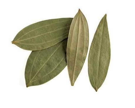 Brinji Leaf (பிரியாணி இலை)