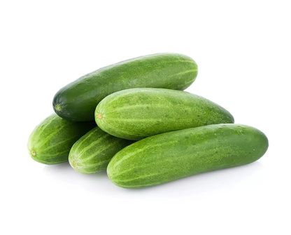 Cucumber (வெள்ளரிக்காய்)