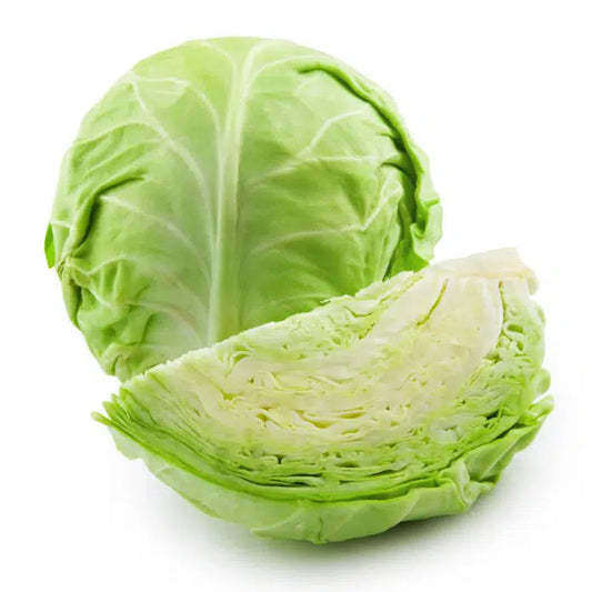 Cabbage (முட்டை கோஸ்)