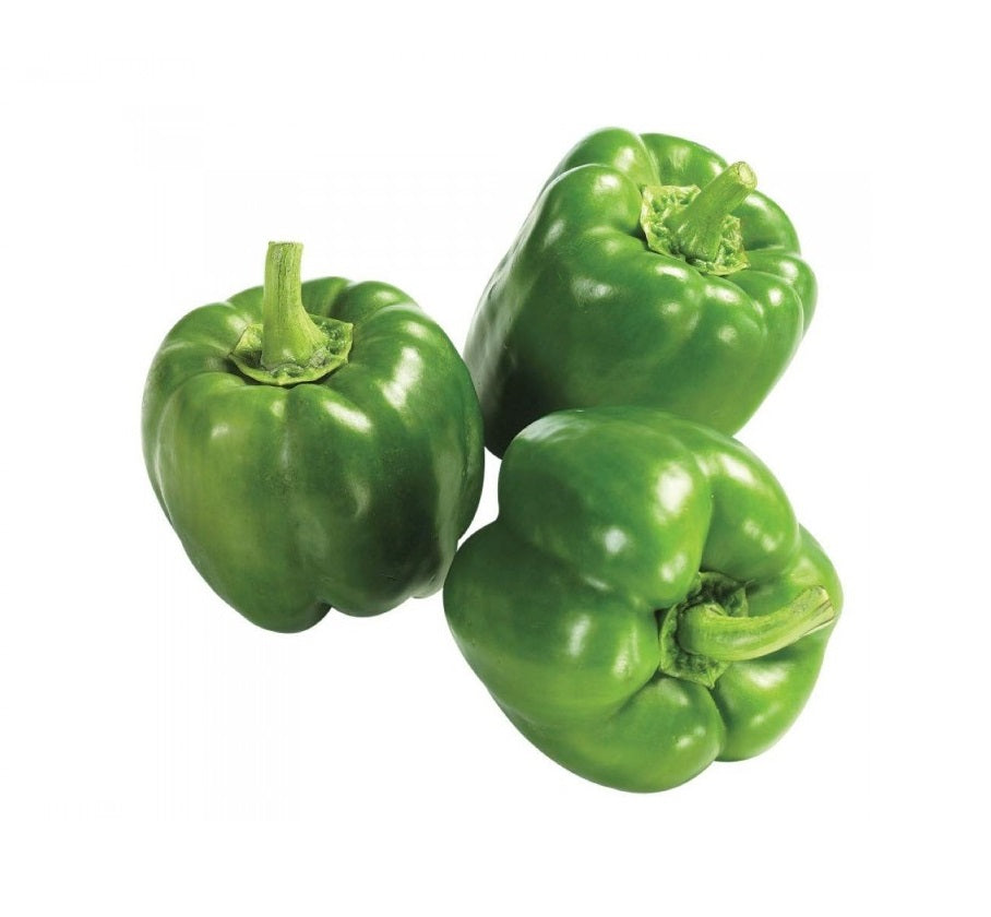 Capsicum (குடை மிளகாய்)